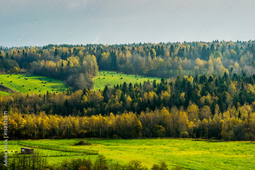 Obraz premium Autumn morning