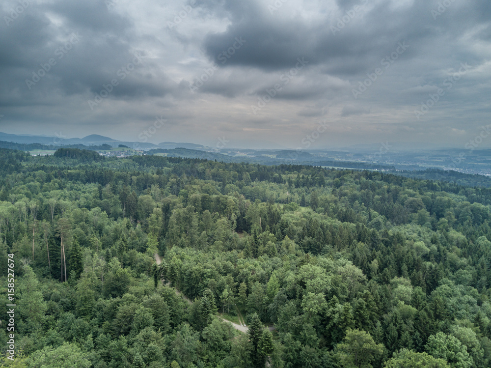 Naklejka premium Aerial view dramatic clouds and forest