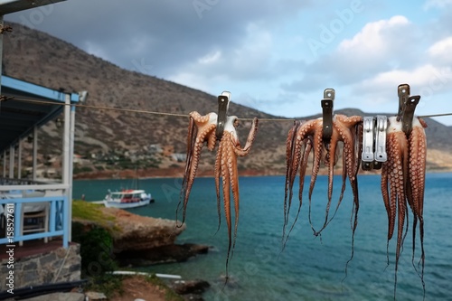 Griechenland Strand Oktopus