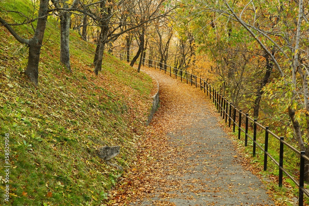 Autumn park path Autumn park path
