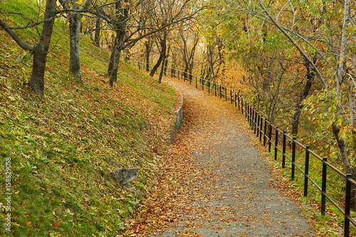 Autumn park path