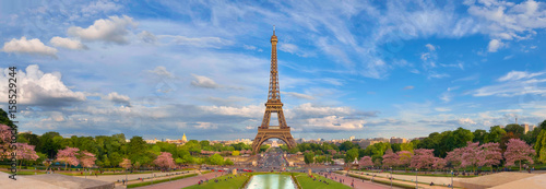 Fototapeta Panoramiczny obraz wieży Eiffla z Trocadero na wiosnę.