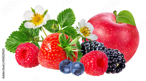  strawberry,apple,raspberry,blackberry, bilberry, blueberries isolated on white