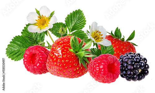 strawberry,raspberry,blackberry isolated on white
