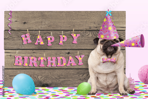 Photography cute pug puppy dog with pink party hat and horn and wooden sign with text happy