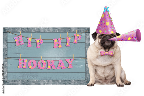 cute pug puppy dog with pink party hat and horn and old  blue wooden sign with festive hip hip hooray banner, isolated on white background photo