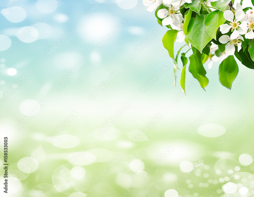green nature background at summer day green nature background at summer day