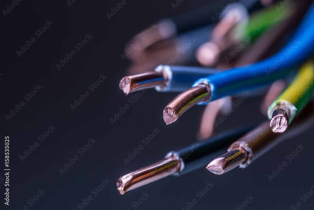 Group of colored electrical cables - studio shot. - obrazy, fototapety, plakaty 
