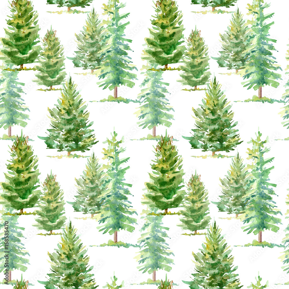 Floral seamless pattern of a spruce tree.Watercolor hand drawn illustration.White background.