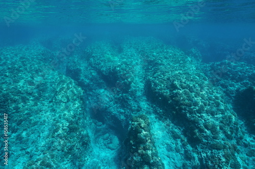Underwater landscape rocky ocean floor coral reef, Pacific ocean ,Huahine, French Polynesia