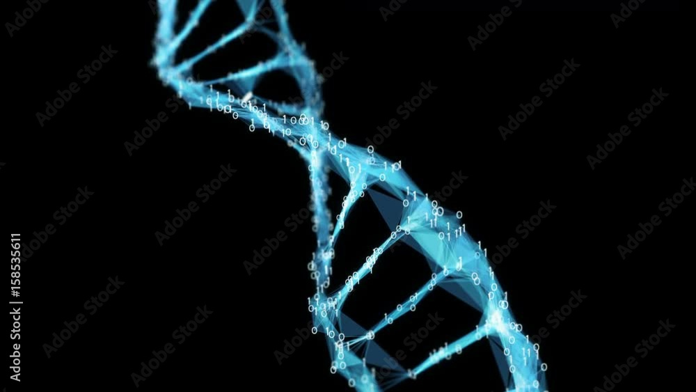 Abstract representation of digital binary polygon plexus DNA molecule . For visuals, biology, biotechnology, chemistry, science, Medicine, cosmetics or as motion background. Seamless Loop. Alpha Matte Abstract representation of digital binary polygon plexus DNA molecule . For visuals, biology, biotechnology, chemistry, science, Medicine, cosmetics or as motion background. Seamless Loop. Alpha Matte