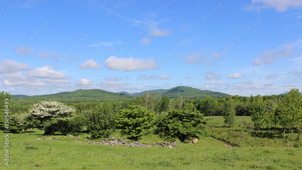 Naklejka premium Eastern Townships landscape
