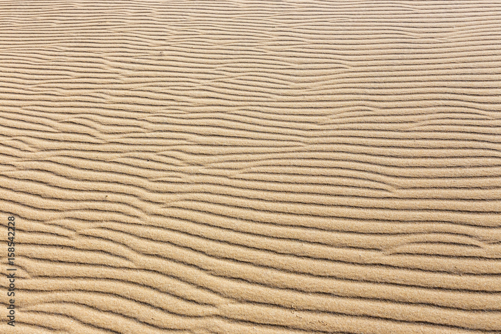 Lines in the sand of a beach, close up Lines in the sand of a beach, close up