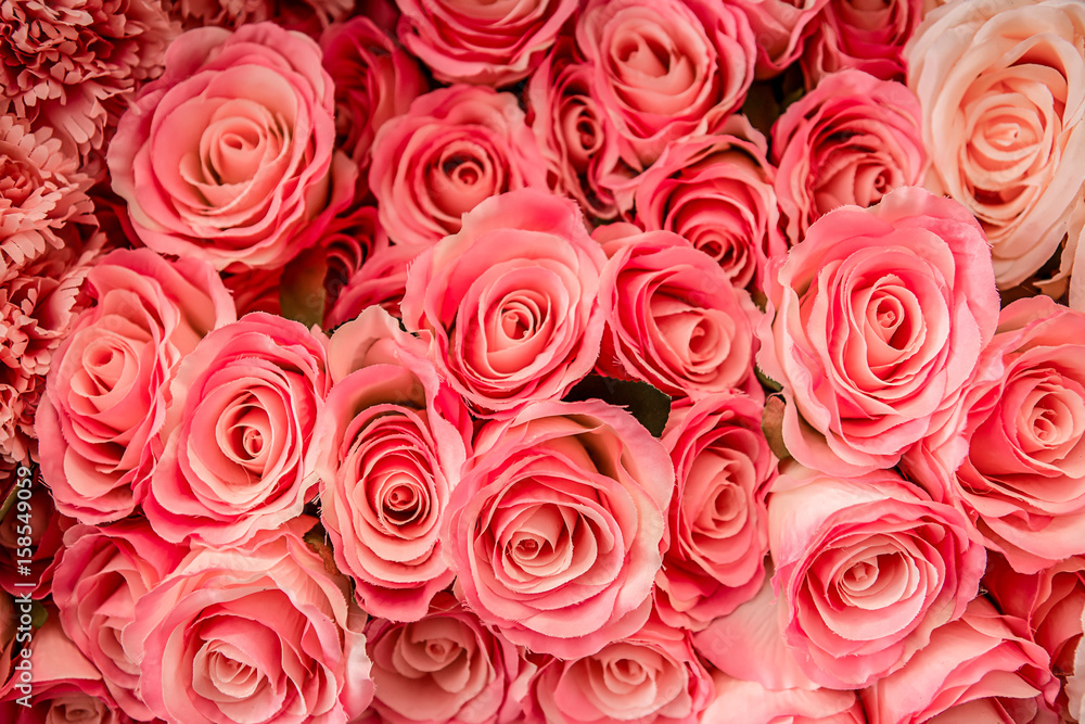 Fototapeta premium A bouquet of beautiful roses soft pink color presented on a beautiful background