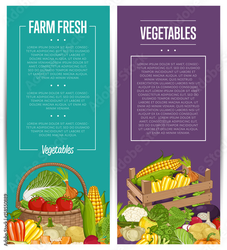 Organic vegetable farming flyers set vector illustration. Natural growing vegetable, vegan retail, product store poster. Healthy farm food advertising with patison, potato, pumpkin, cabbage, tomato