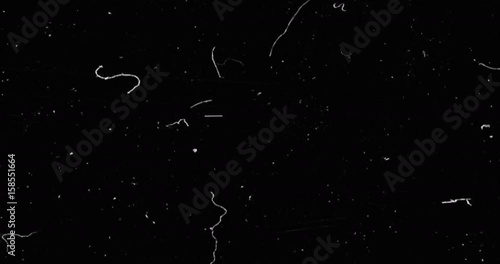 black and white background realistic flickering, analog vintage TV signal with bad interference, static noise background, overlay ready photo