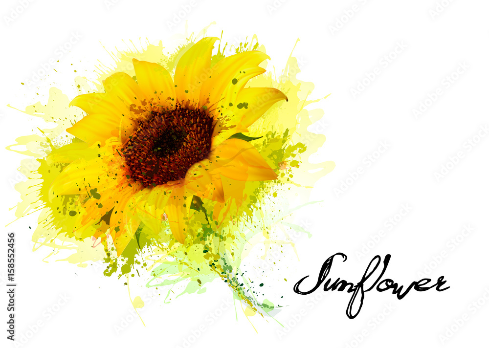 Obraz Natury tło z żółtym słonecznikiem. Wektor