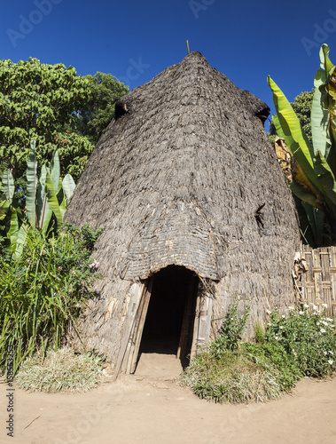 Elephant head like traditional Dorze house. Hayzo village, Omo Valley, Ethiopia photo