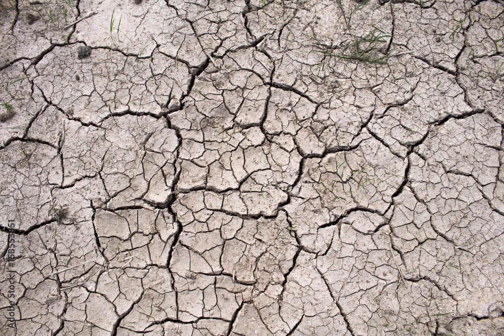 Drought in rice fields, Concept drought.