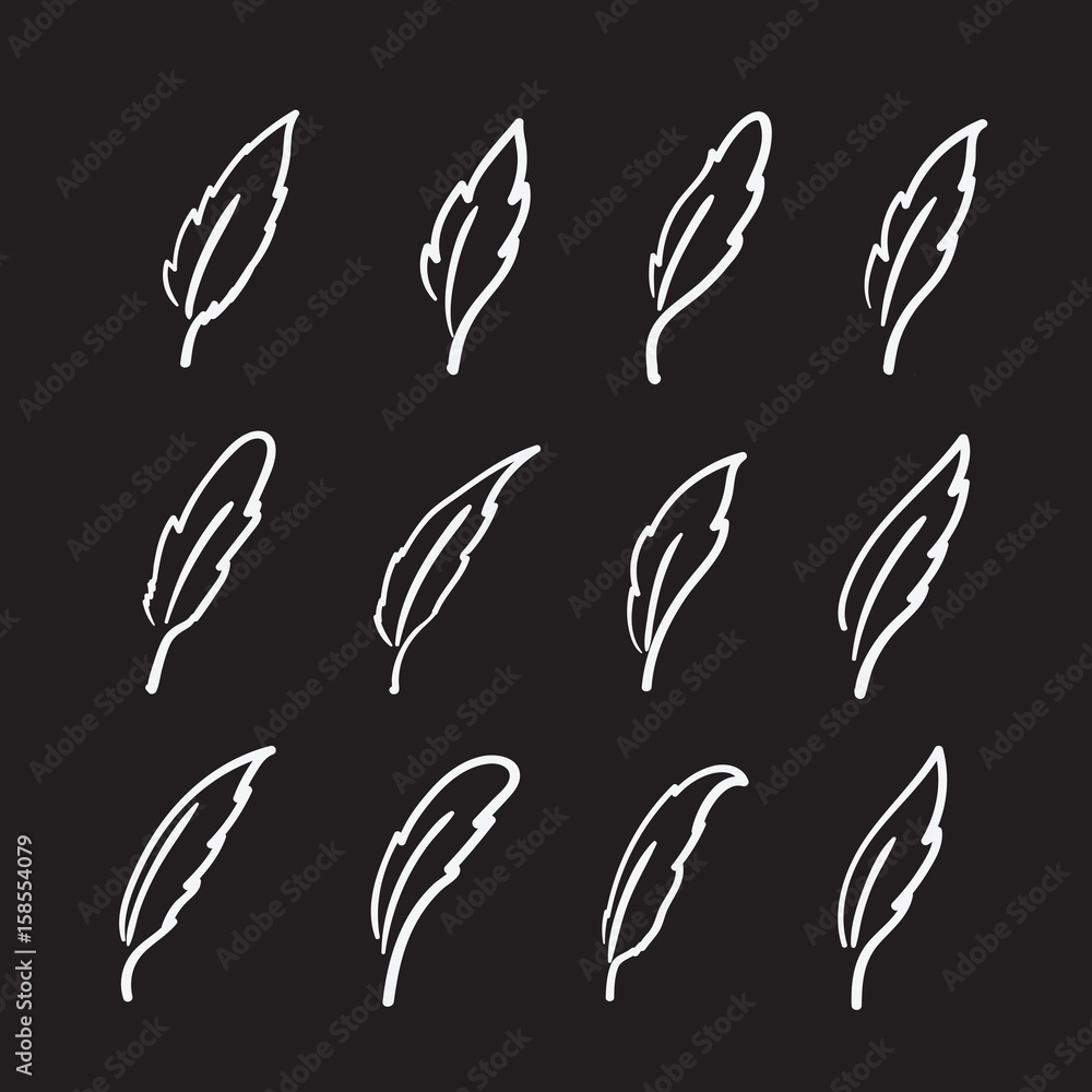 Vector group of hand drawn feather on black background.