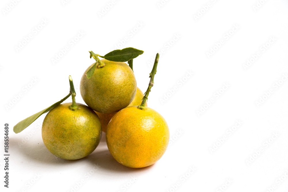 Closed up of kumquat orange that placed on white background Closed up of kumquat orange that placed on white background