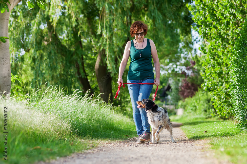 Fototapeta premium mature woman with Brittany dog at the leash