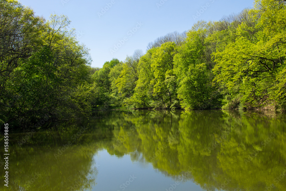 Lake in green forest Lake in green forest
