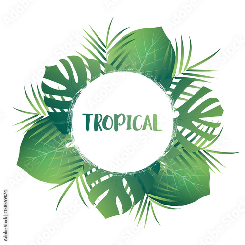 Tropical palm leaves. Vector exotic leaves. Tropic card template with jungle leaves.