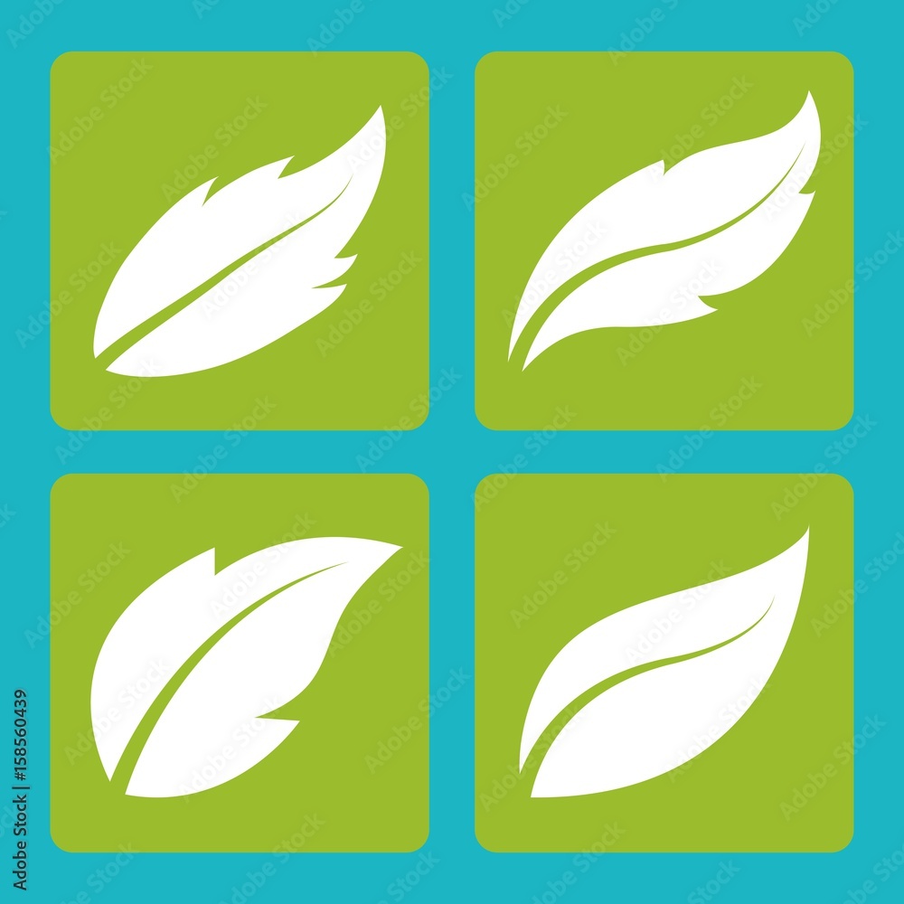 Leaves icon over green squares and turquoise background. colorful design. vector illustration