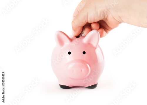 Pink pig and coins isolated