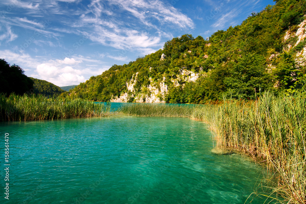 turquoise lake with grassy bank and rocky background, National Park Plitvice Lakes, Croatia, Europe turquoise lake with grassy bank and rocky background, National Park Plitvice Lakes, Croatia, Europe