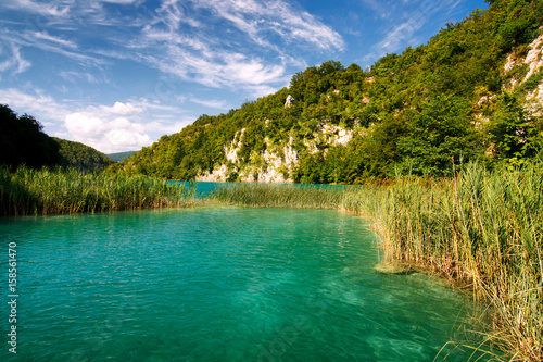 turquoise lake with grassy bank and rocky background, National Park Plitvice Lakes, Croatia, Europe