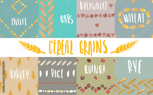 Vector set of seamless patterns of cereal with handwritten lettering and hand-drawn stylized grains. For packing groats, advertising healthy food.
