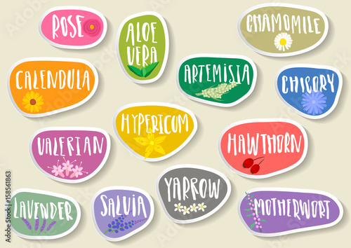 Vector set of trendy paper stickers for medicinal herbs. Various natural organic herbal additives for drinks, soap, shampoo, pharmacy products with handwritten annotation and sketches of plants.