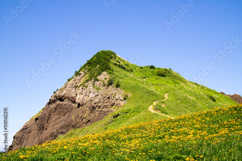 大野亀