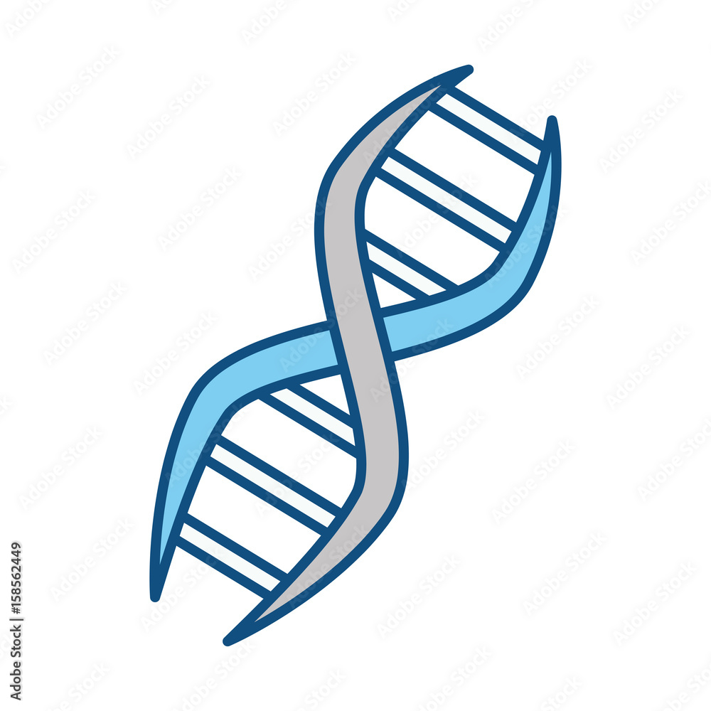 Adn genetic code icon vector illustration graphic design Adn genetic code icon vector illustration graphic design