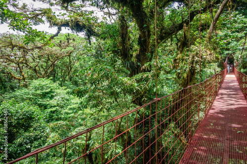 Red hanging bridge in Rainforest of Monteverde