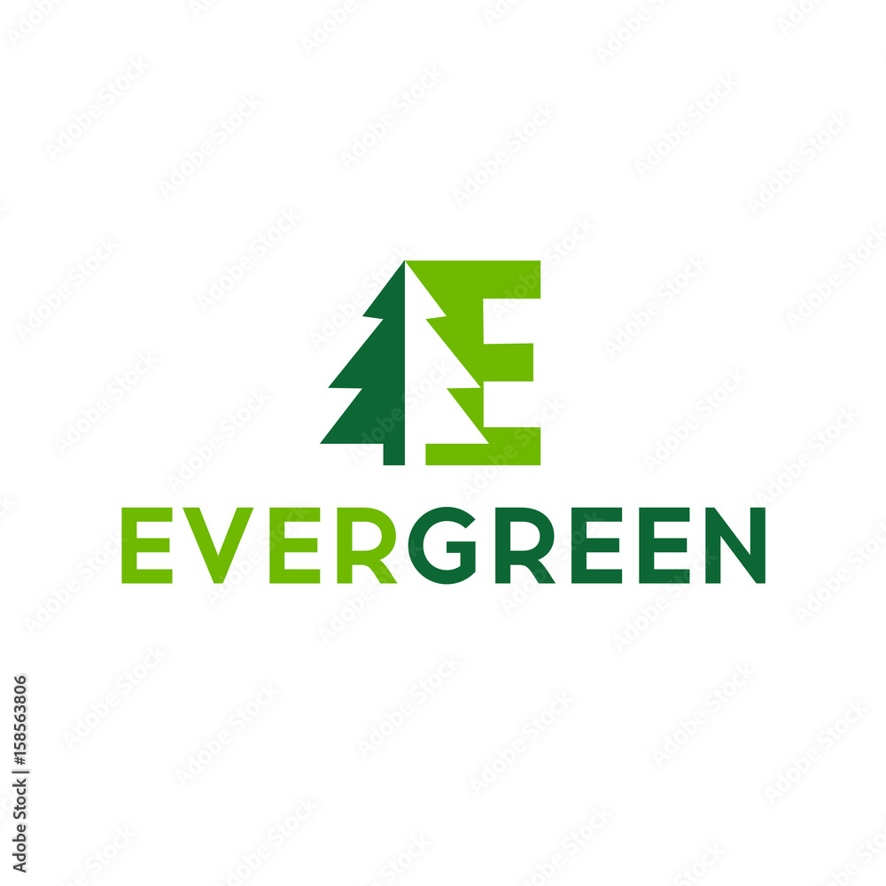 Eco logo, evergreen logo, vector logo template. Forest woods icon tree graphic design logo symbol Eco logo, evergreen logo, vector logo template. Forest woods icon tree graphic design logo symbol