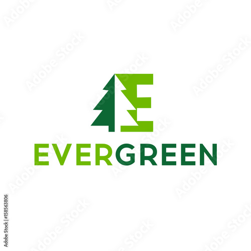 Eco logo, evergreen logo, vector logo template. Forest woods icon tree graphic design logo symbol