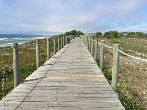 Holzweg am Meer