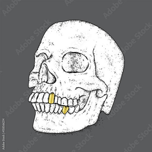 A stylish skull. Vector illustration for a card or poster, print on clothes. The hipster skeleton. Fashion & Style.