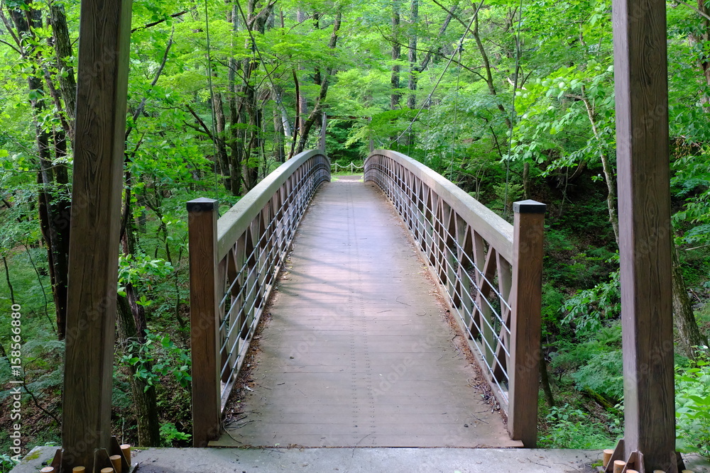 Obraz premium 軽井沢 新緑に囲まれた吊り橋