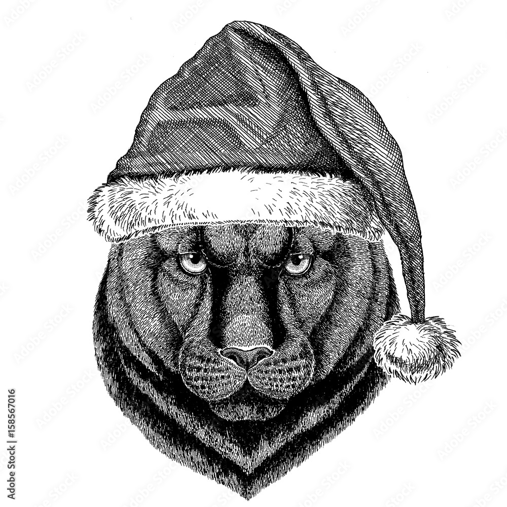 Panther Puma Cougar Wild cat wearing christmas hat New year eve Merry  christmas and happy new year Zoo life Holidays celebration Hand drawn image  Stock Illustration | Adobe Stock