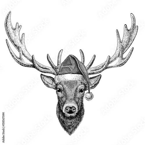 Deer wearing christmas hat New year eve Merry christmas and happy new year Zoo life Holidays celebration Santa Claus hat