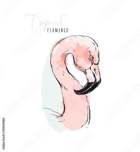 Hand drawn vector abstract artistic illustration of tropical exotic paradise bird pink flamingo in pastel colors isolated on white background.