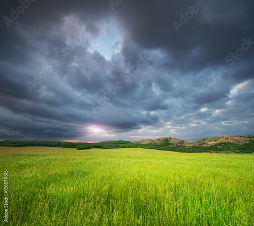 Green meadow in mountain.