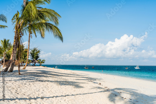 beautiful seascape with palms on a beach and blue sky