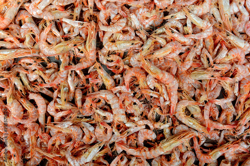 A lots of small shrimp as a background A lots of small shrimp as a background