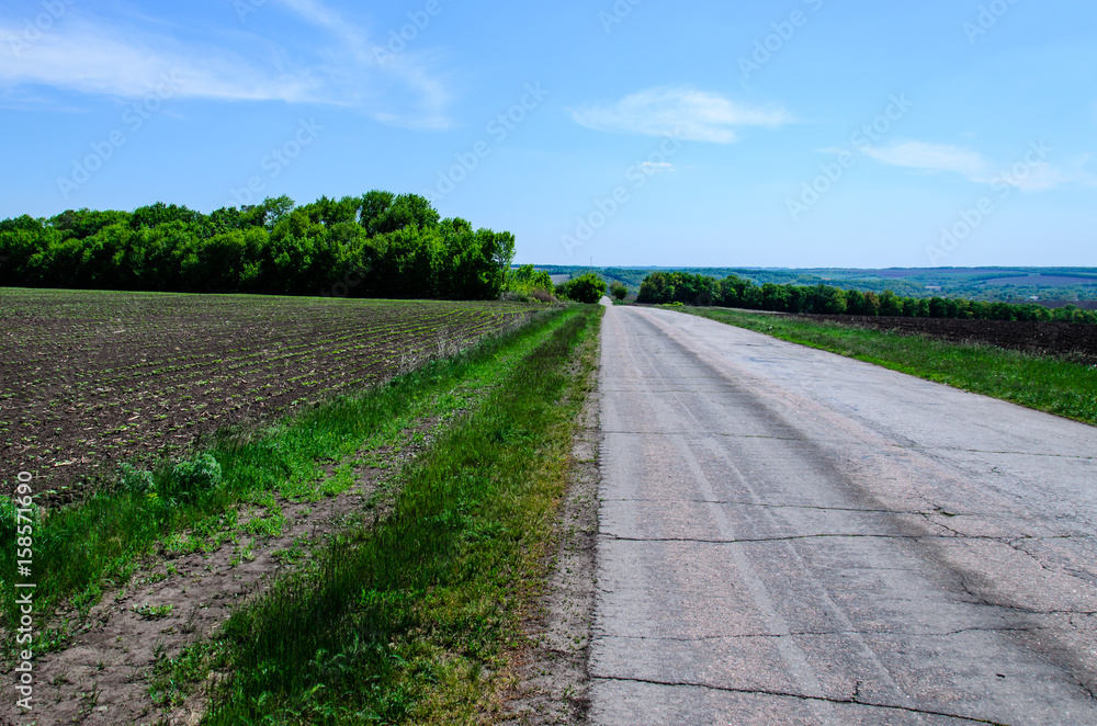 Fototapeta premium Asphalt road near the fields