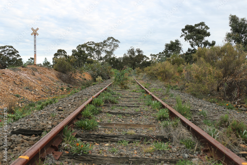 disused and overgrown railway tracks disused and overgrown railway tracks